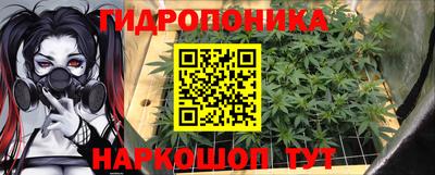 спиды Гусев