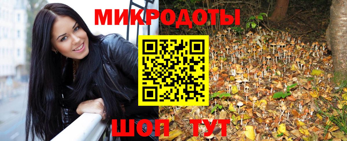 Галлюциногенные грибы Psilocybine cubensis  Вход с VPN  Мытищи 