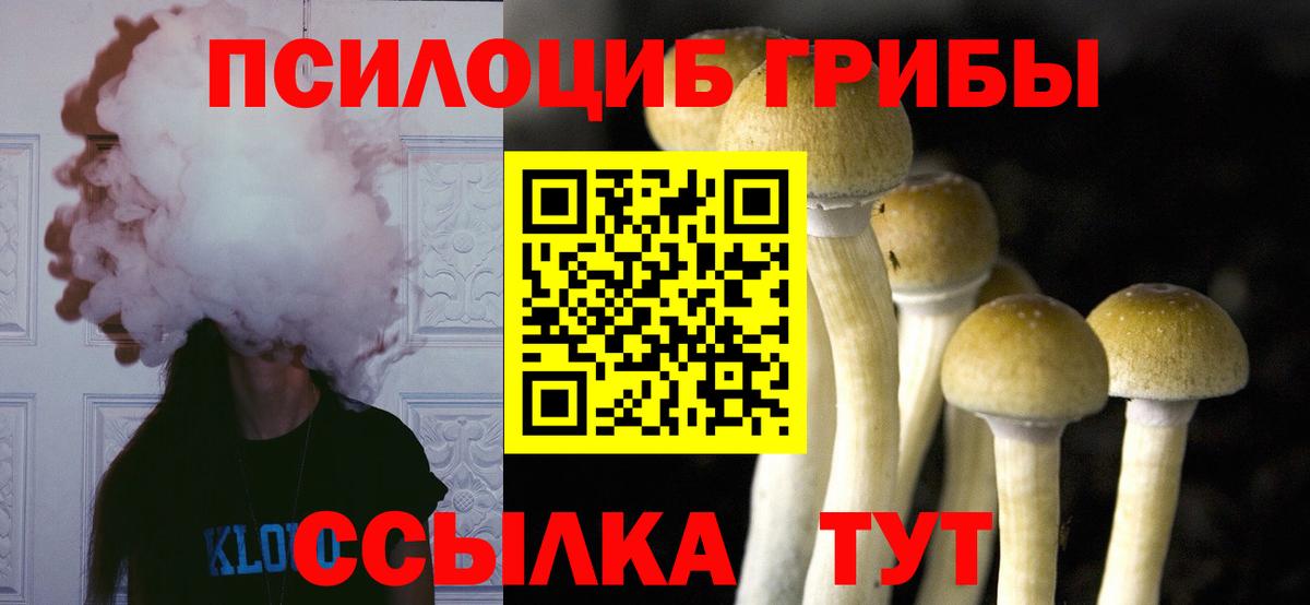Галлюциногенные грибы Cubensis Мытищи